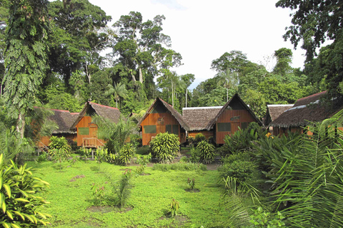 EXCURSIÓN A LOS MAMÍFEROS DE CANDAMO (5 DÍAS - 4 NOCHES)