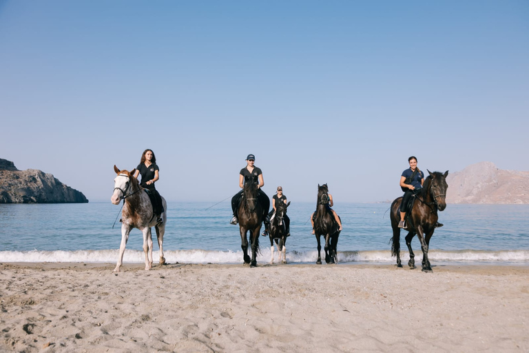 Crete Horse Riding: Plakias Beach Ride Crete Horse Riding: Plakias Beach