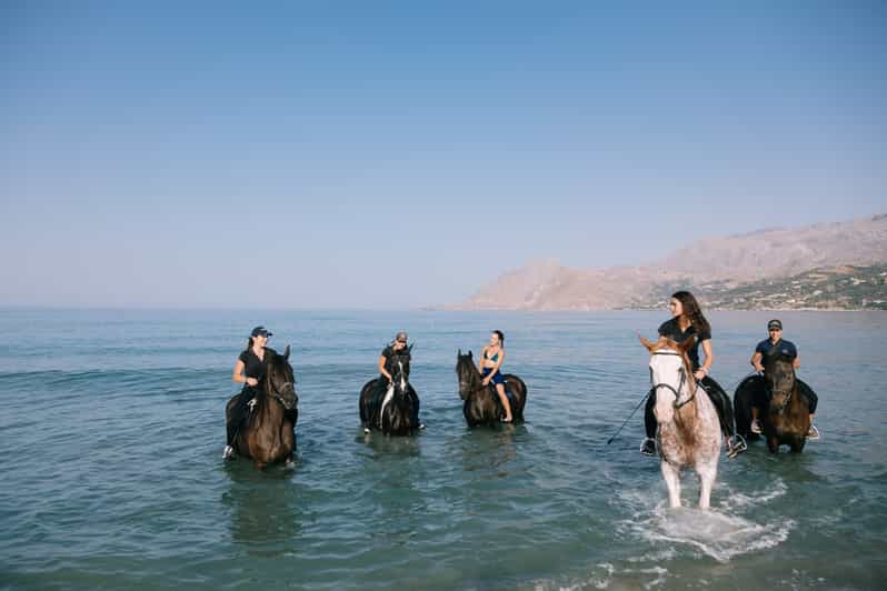 Crete Horse Riding Plakias Beach Ride GetYourGuide