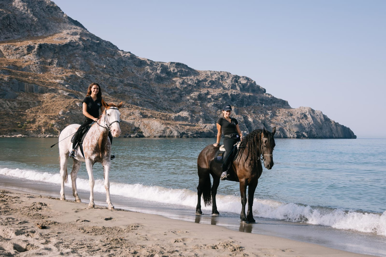 Crete Horse Riding: Plakias Beach Ride Crete Horse Riding: Plakias Beach