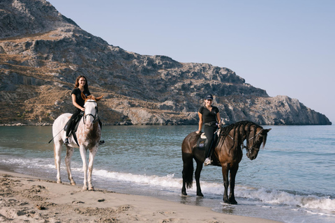 Crete Horse Riding: Plakias Beach Ride Crete Horse Riding: Plakias Beach