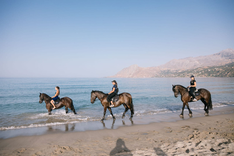 Crete Horse Riding: Plakias Beach Ride Crete Horse Riding: Plakias Beach