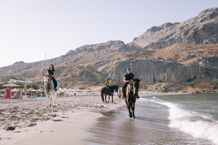 Crete Horse Riding: Plakias Beach Ride Crete Horse Riding: Plakias Beach