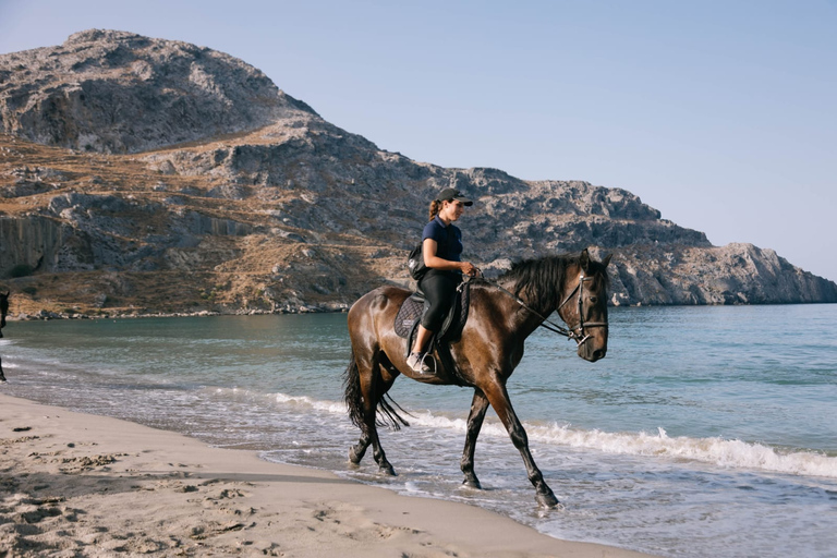 Crete Horse Riding: Plakias Beach Ride Crete Horse Riding: Plakias Beach