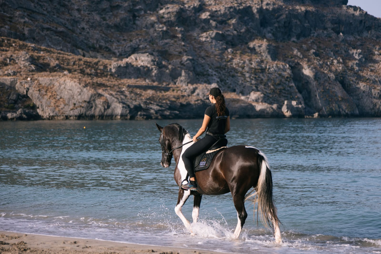 Crete Horse Riding: Plakias Beach Ride Crete Horse Riding: Plakias Beach