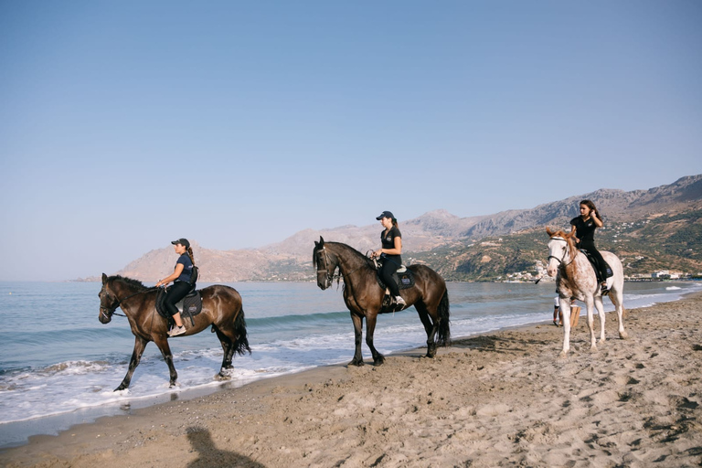 Crete Horse Riding: Plakias Beach Ride Crete Horse Riding: Plakias Beach