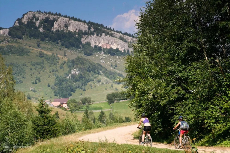 De Brasov : Parc national de Piatra Craiului en Ebike