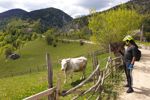 De Brasov : Parc national de Piatra Craiului en Ebike