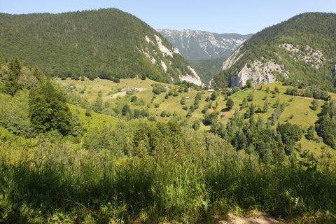 De Brasov : Parc national de Piatra Craiului en Ebike