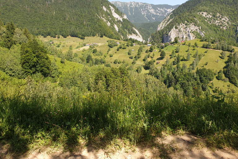 De Brasov : Parc national de Piatra Craiului en Ebike