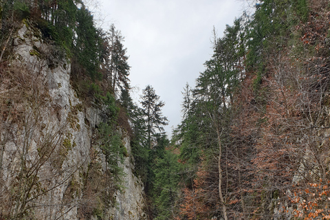 De Brasov : Parc national de Piatra Craiului en Ebike