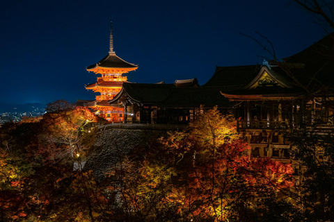 Kyoto: Private Guided Tour With Vehicle and Optional Add-Ons