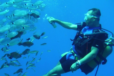 Antalya : Plongée sous-marine avec prise en charge, déjeuner et 2 plongées