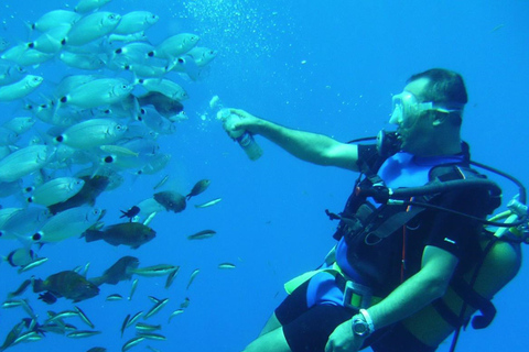 Antalya/Kemer: Tauchen mit Abholung, Mittagessen und 2 TauchgängenGerätetauchen mit Mittagessen und 2 Tauchgängen (ohne Transfer)