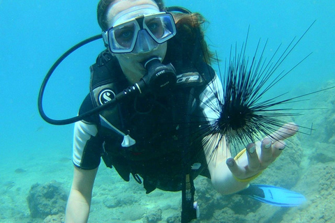 Antalya : Plongée sous-marine avec prise en charge, déjeuner et 2 plongées