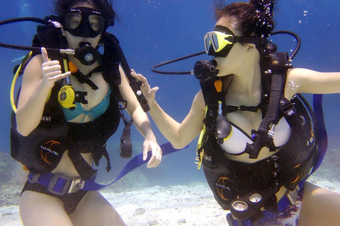 Antalya : Plongée sous-marine avec prise en charge, déjeuner et 2 plongées