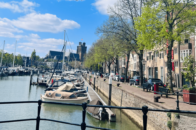 Rotterdam: Waterbus ticket to Kinderdijk and Dordrecht