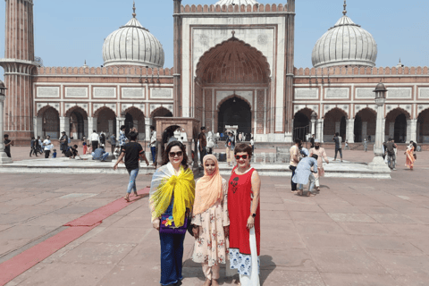 Delhi: excursão guiada privada de dia inteiro com trasladosTour com Ac Transportation and Tour Guide