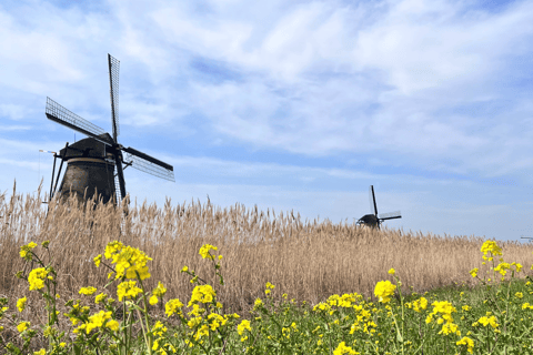 Rotterdam: Waterbus ticket to Kinderdijk and Dordrecht