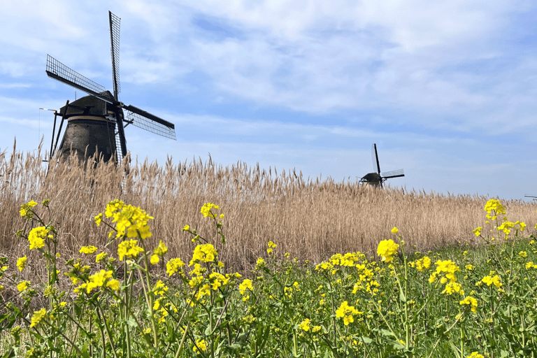 Rotterdam: Waterbusticket naar Kinderdijk en Dordrecht