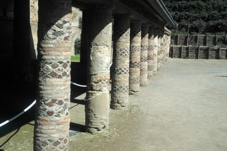 Ganztägige Ruinen von Pompeji Exklusive Privattour von Rom aus