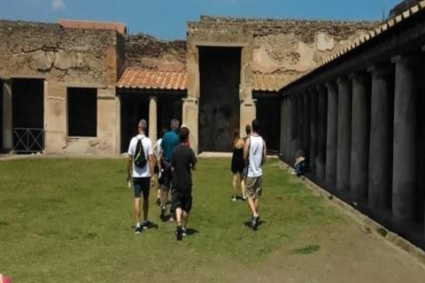 Excursión Privada Exclusiva de un Día a las Ruinas de Pompeya desde Roma