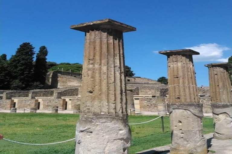Full Day Pompeii ruins Exclusive Private Tour From Rome