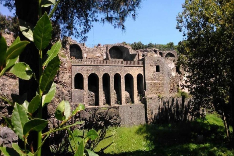Ganztägige Ruinen von Pompeji Exklusive Privattour von Rom aus