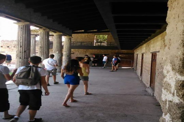 Excursión Privada Exclusiva de un Día a las Ruinas de Pompeya desde Roma