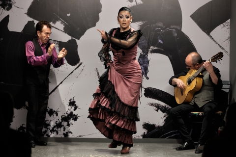 Unieke flamencoshow in Sevilla aan de voet van de Giralda