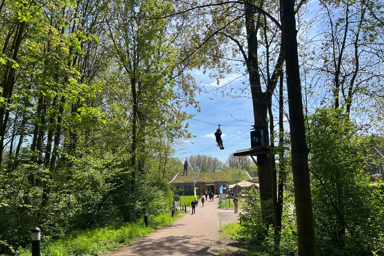 Rotterdam: Bilet na autobus wodny do Kinderdijk i Dordrecht