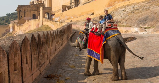 Jaipur: Private City Sightseeing Guided Tour with Transfer