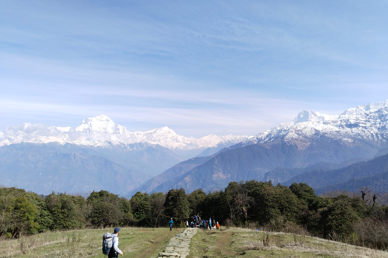 2 Nächte 3 Tage Poon Hill Ghandruk TrekStandard Option