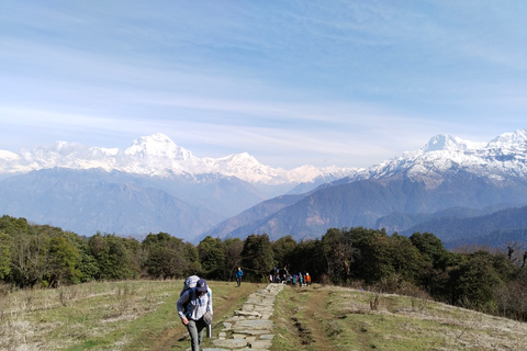 2 Nächte 3 Tage Poon Hill Ghandruk TrekStandard Option