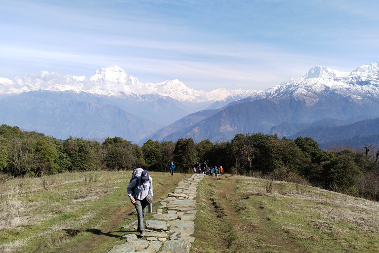 2 Nächte 3 Tage Poon Hill Ghandruk TrekStandard Option