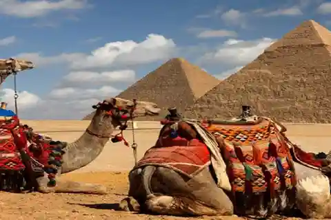 Kairo: Pyramiderna i Giza med kamelridning och biljetter