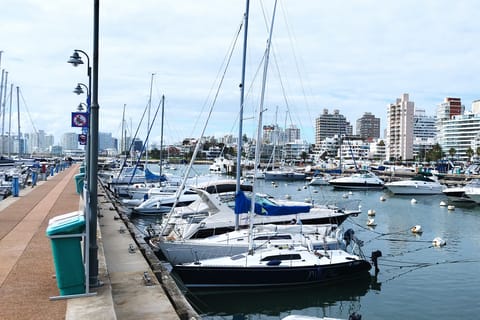 From Montevideo: Punta del Este Full-Day Private Tour
