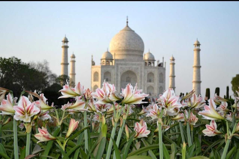 From Jaipur: Taj Mahal &amp; Agra Fort Day Trip with Lunch