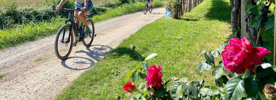 Lazise : Excursion en vélo électrique dans la campagne avec dégustation de vin