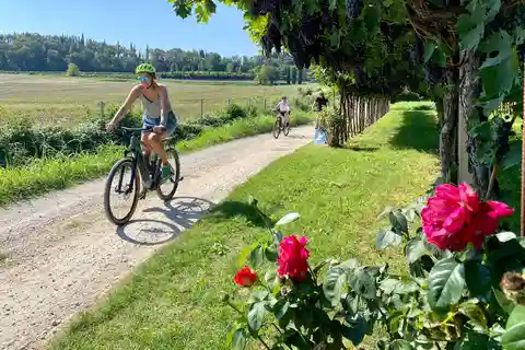 Lazise: Countryside e-Bike Tour with Wine Tasting