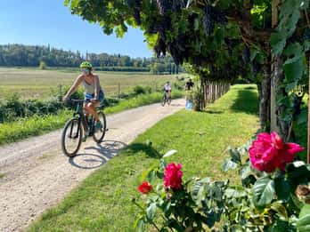 Lazise: E-biketocht op het platteland met wijnproeverij