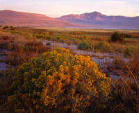 Salt Lake City, Great Salt Lake Antelope Island Guided Tour - Housity