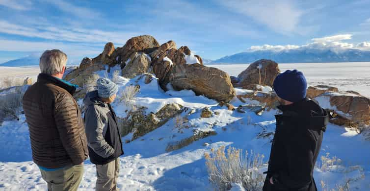 Salt Lake City Guidad Tur Till Antelope Island Vid Stora Saltsj N