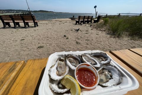 Boston: Cape Cod Day Tour with Picnic Lunch & Oyster Tasting