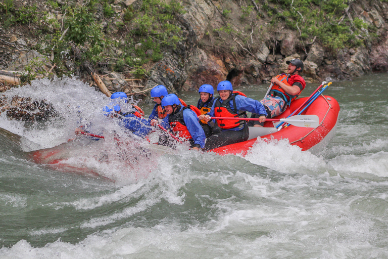 Banff - en surfresa Surfresa på Kananaskis River