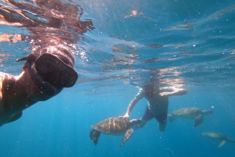 São Vicente: nurkowanie z żółwiami zapierające dech w piersiachPrywatny