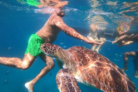São Vicente: Snorkeling with Turtles Breathtaking Experience
