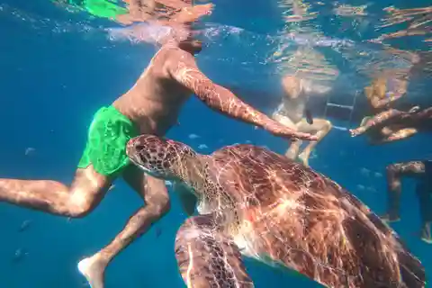 São Vicente: snorkeling con le tartarughe Esperienza mozzafiato