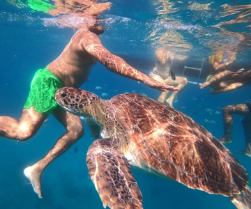 São Vicente: Snorkeling with Turtles Breathtaking Experience