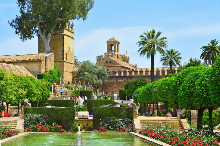 Seville: Cordoba Private & Fully Customizable Day Tour